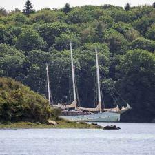 Rara Avis sur l'Aven