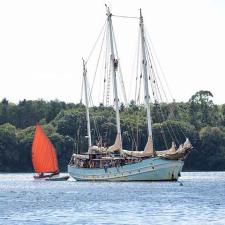 Rara Avis à la fête de la belle angele 2018