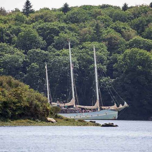 Rara Avis sur l'Aven